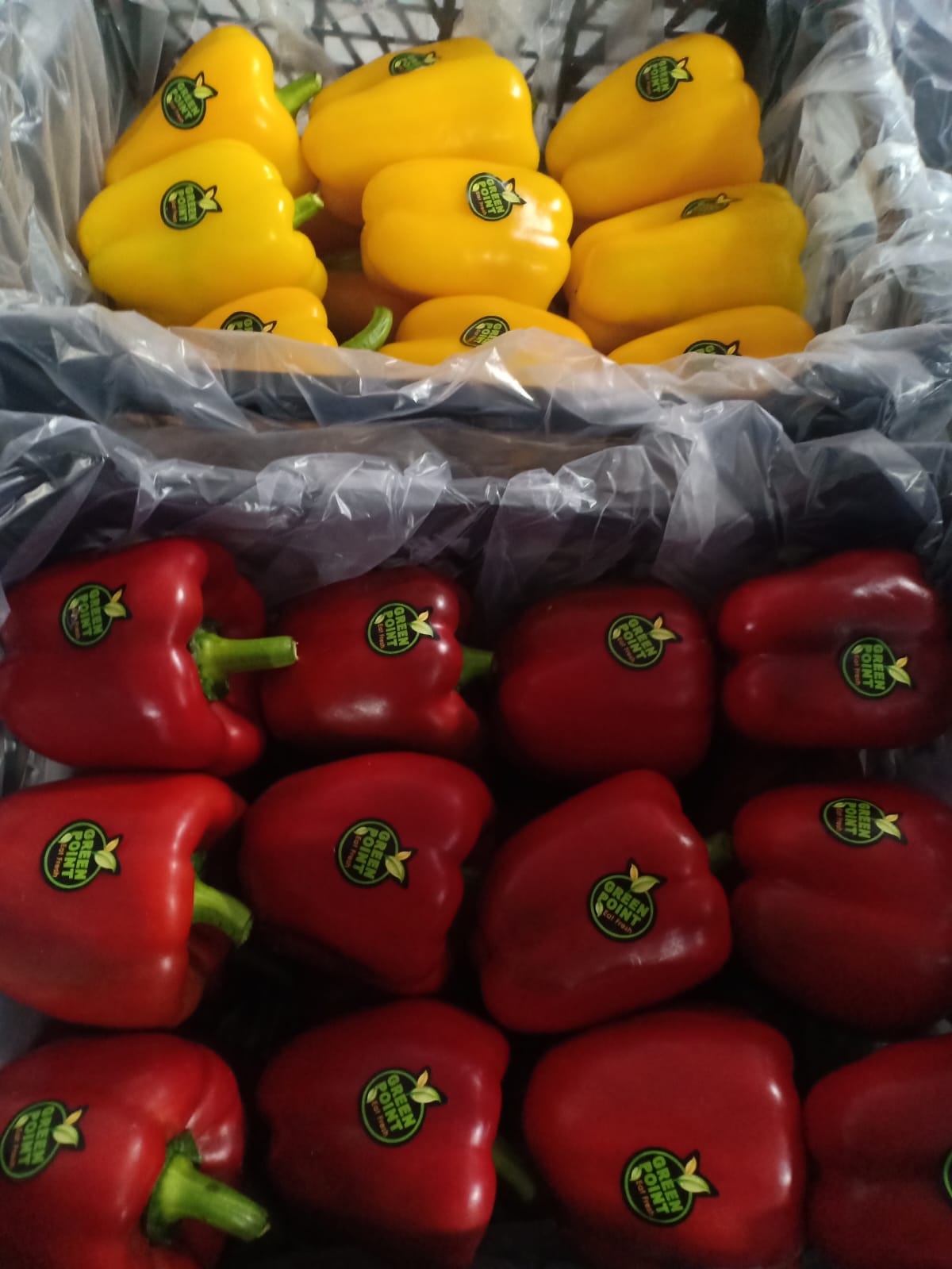Peppers